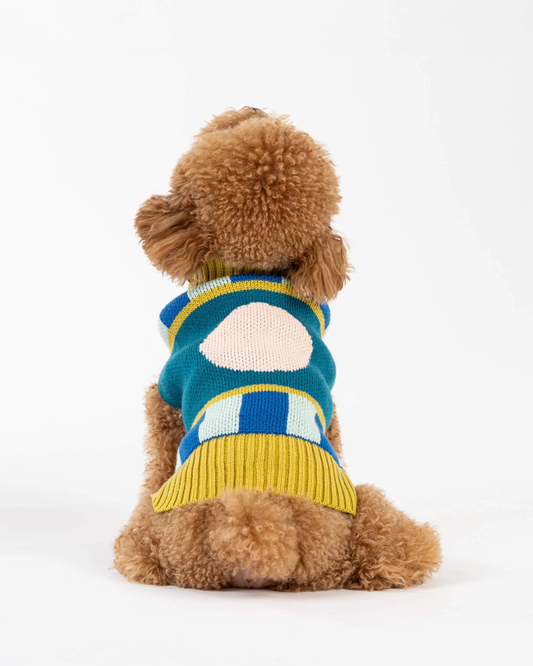 Stripe Dot Dog Sweater in Cobalt