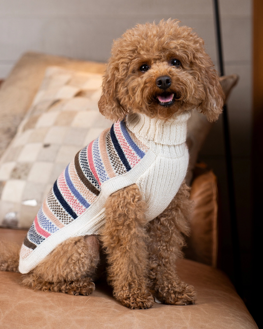 Blushline Stripe Alpaca Dog Sweater