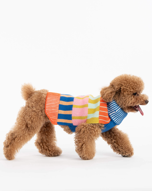 Patchwork Stripe Dog Sweater in Rainbow