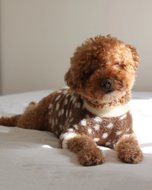 Oh Deer! Soft Cloud Dog Sweater
