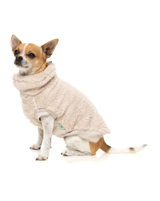 Turtle Teddy Dog Fleece in Beige