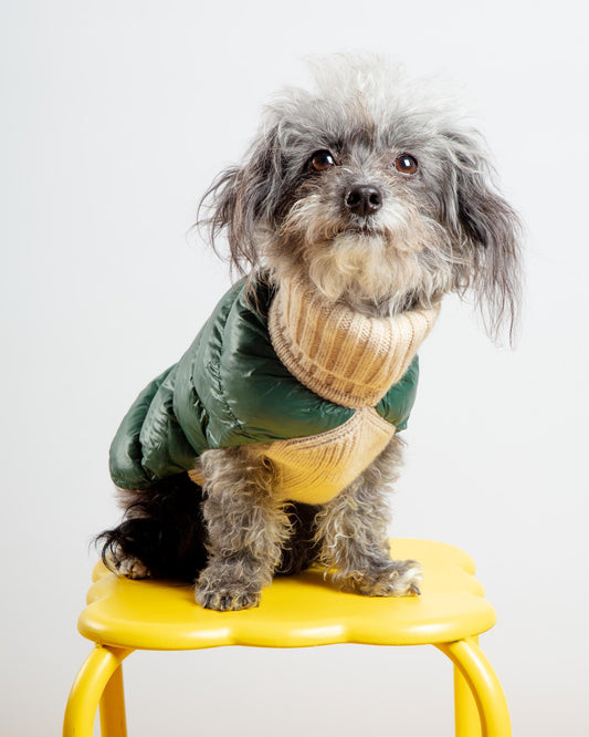 The Puffer Dog Sweater in Tan & Green