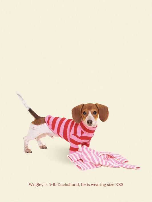 Kiss Me Ribbed Dog Shirt