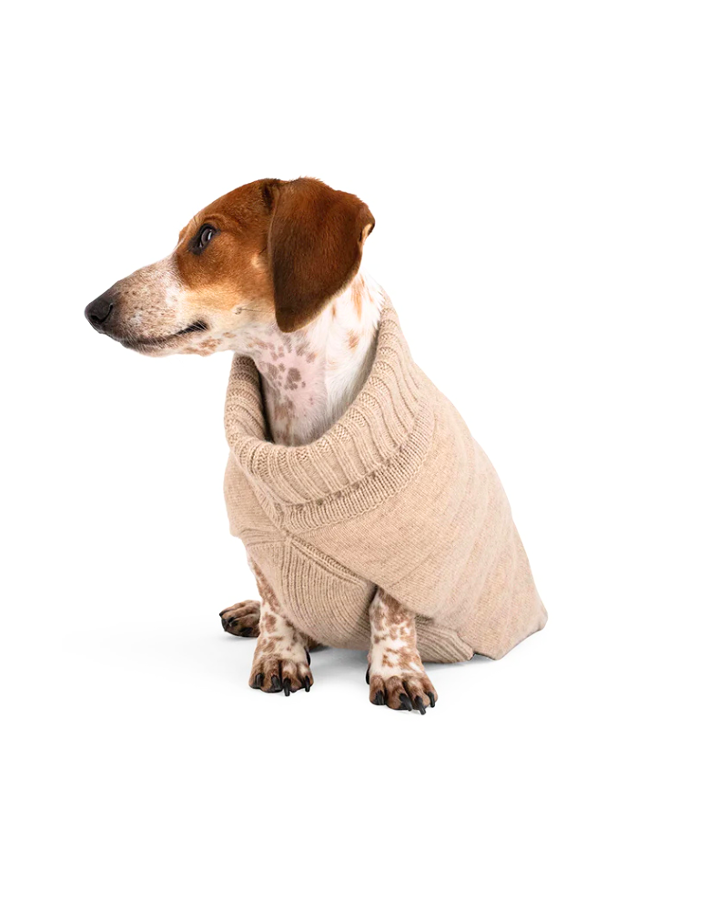 The Cashmere Puffer Dog Sweater in Tan