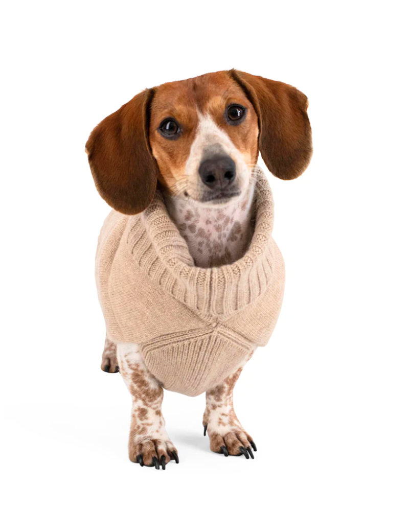 The Cashmere Puffer Dog Sweater in Tan