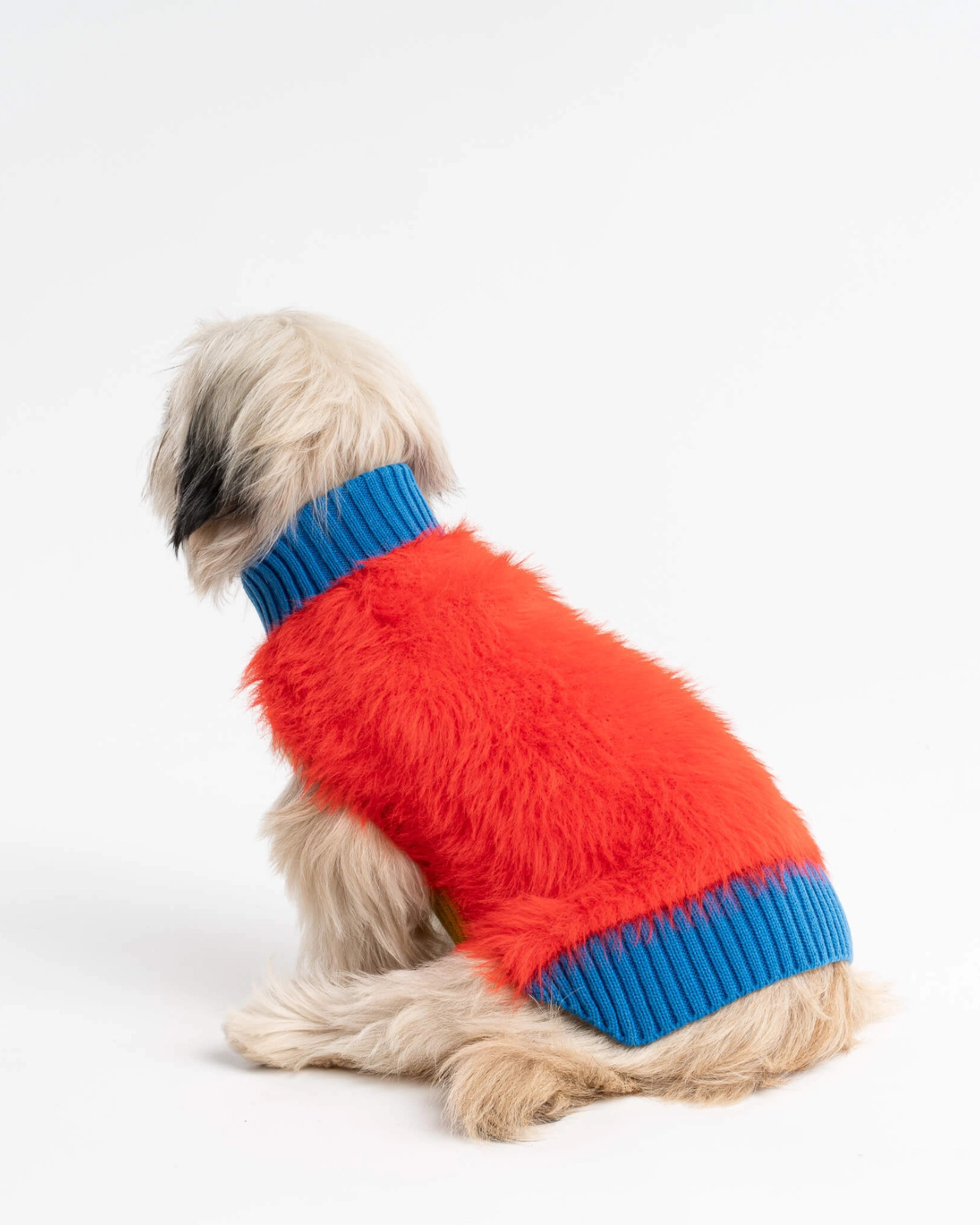 Faux Fur Dog Sweater in Poppy (FINAL SALE)
