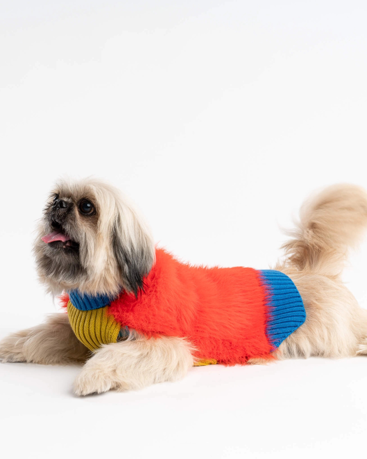 Faux Fur Dog Sweater in Poppy (FINAL SALE)