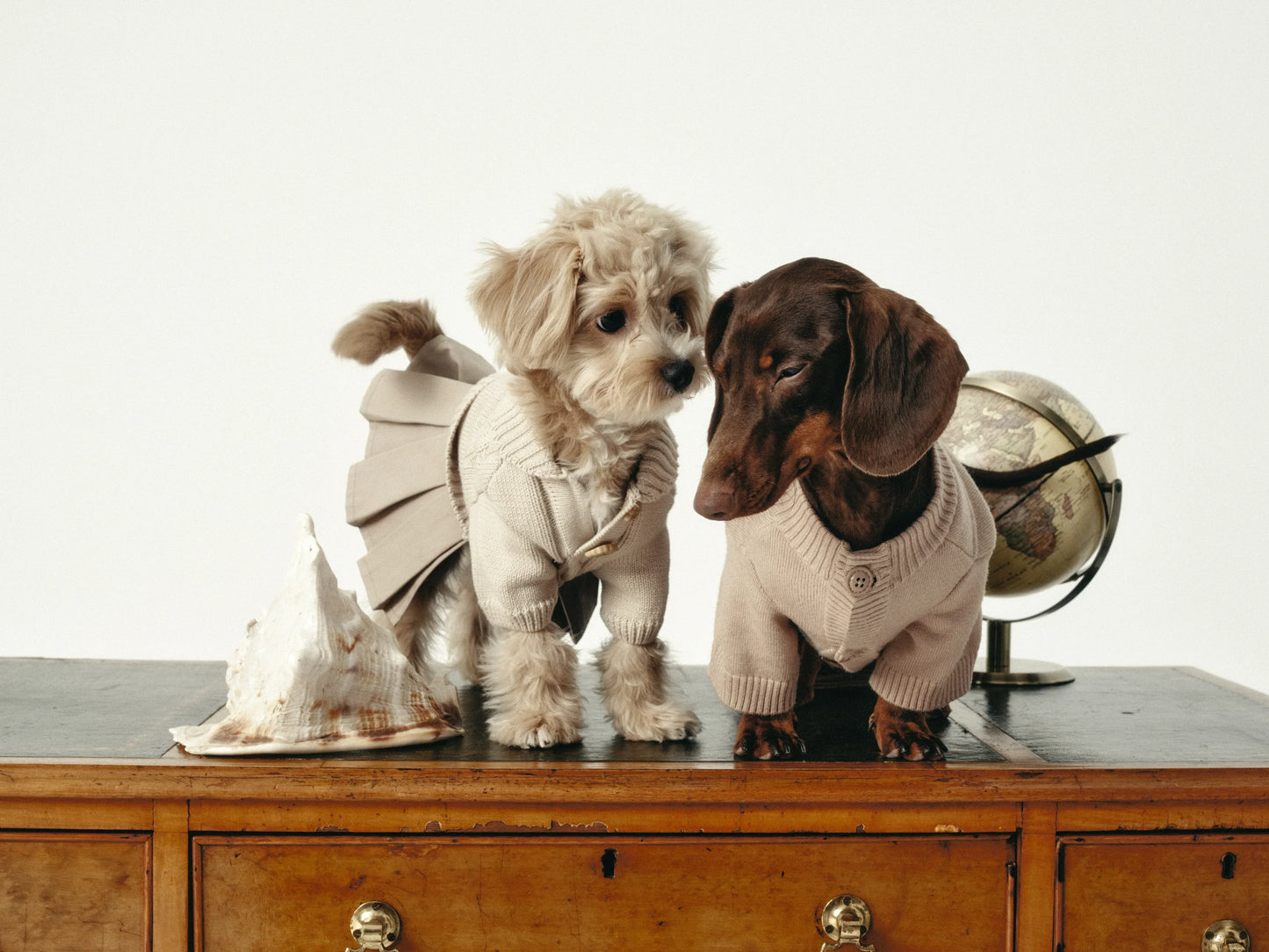 Naturalia Knit + Trench Dog Dress