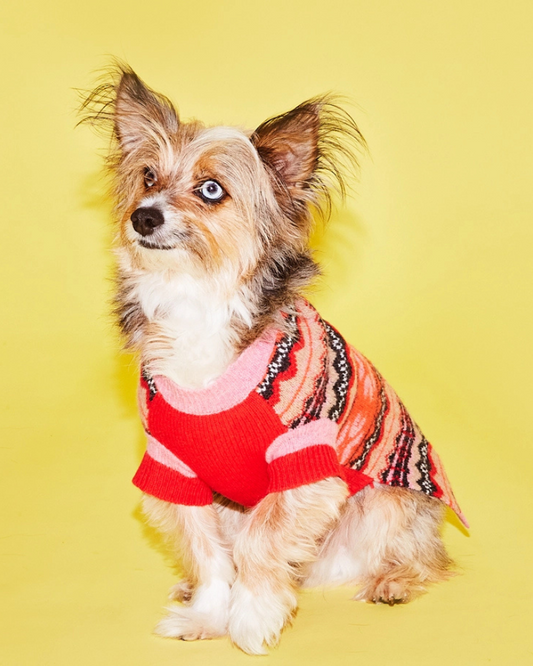 Merino Wool Fairisle Floral Dog Sweater in Pink (FINAL SALE)