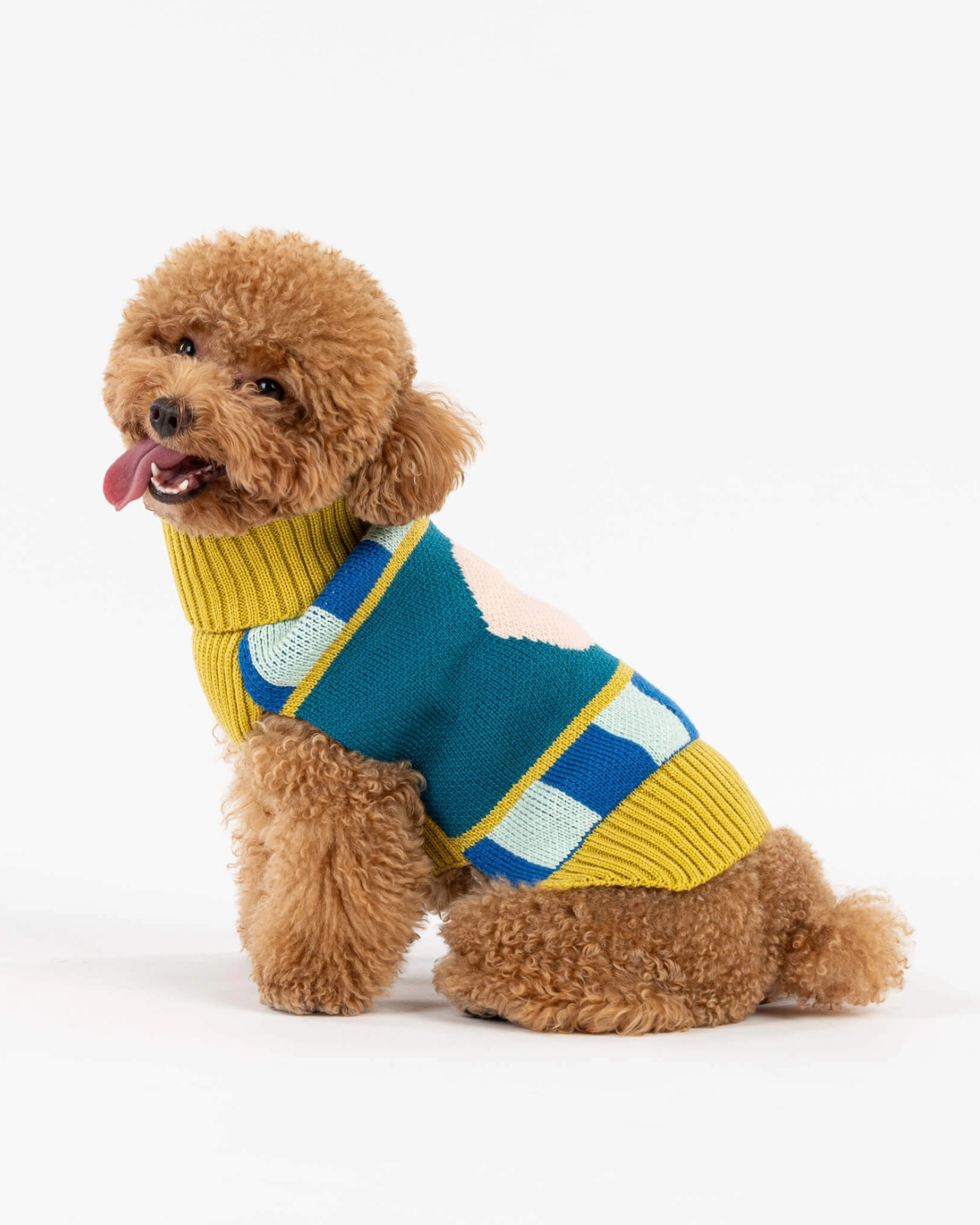 Stripe Dot Dog Sweater in Cobalt