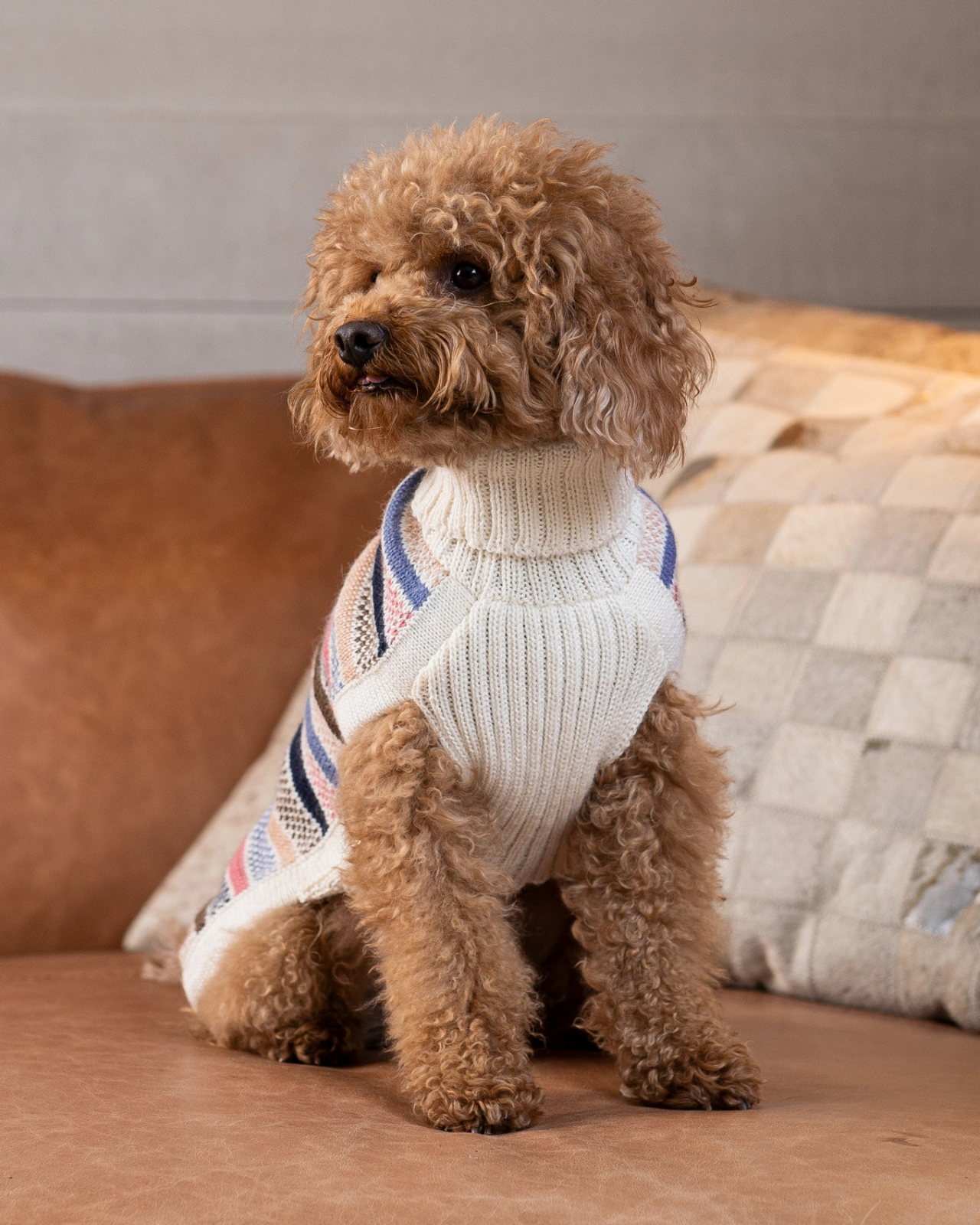 Blushline Stripe Alpaca Dog Sweater