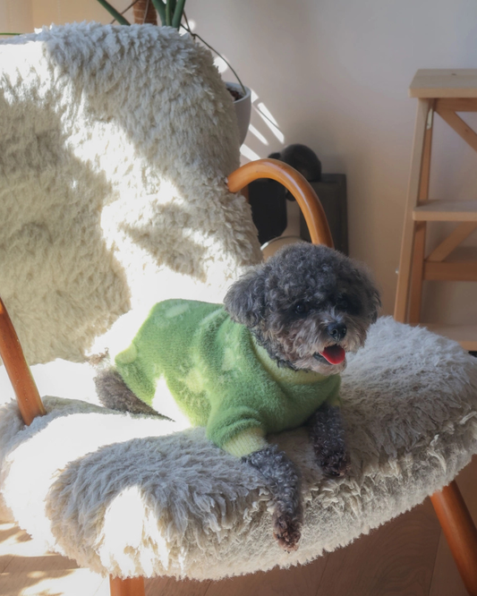 Sunny Day Soft Cloud Dog Sweater