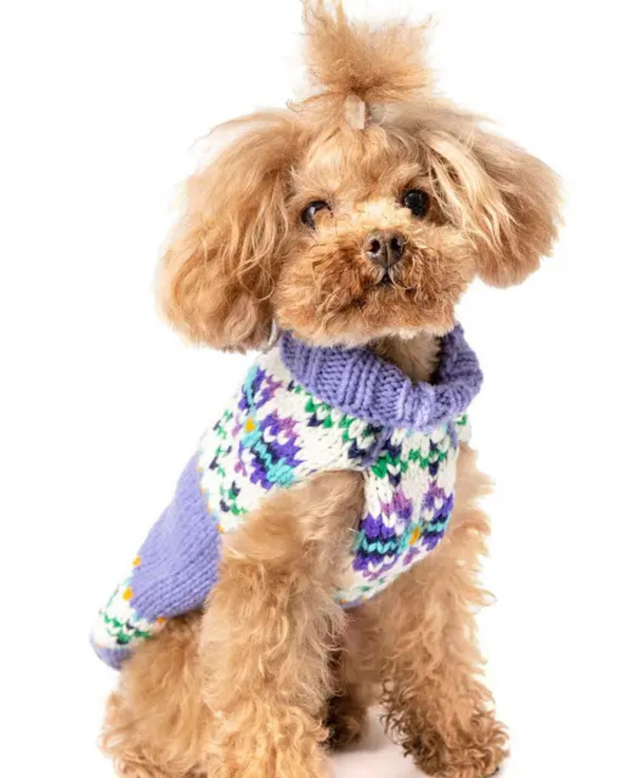 Lavender Flowers Wool Dog Sweater (FINAL SALE)