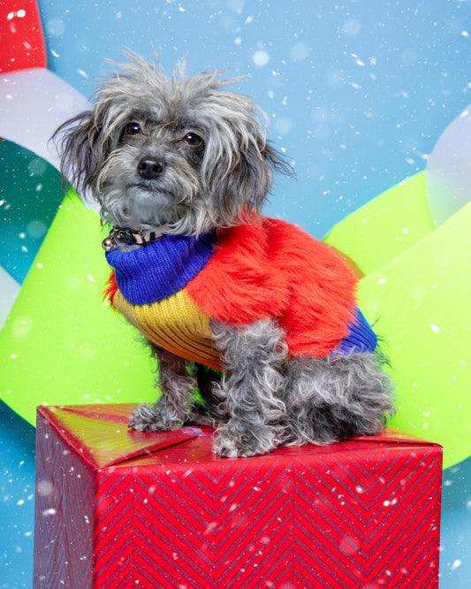 Faux Fur Dog Sweater in Poppy (FINAL SALE)