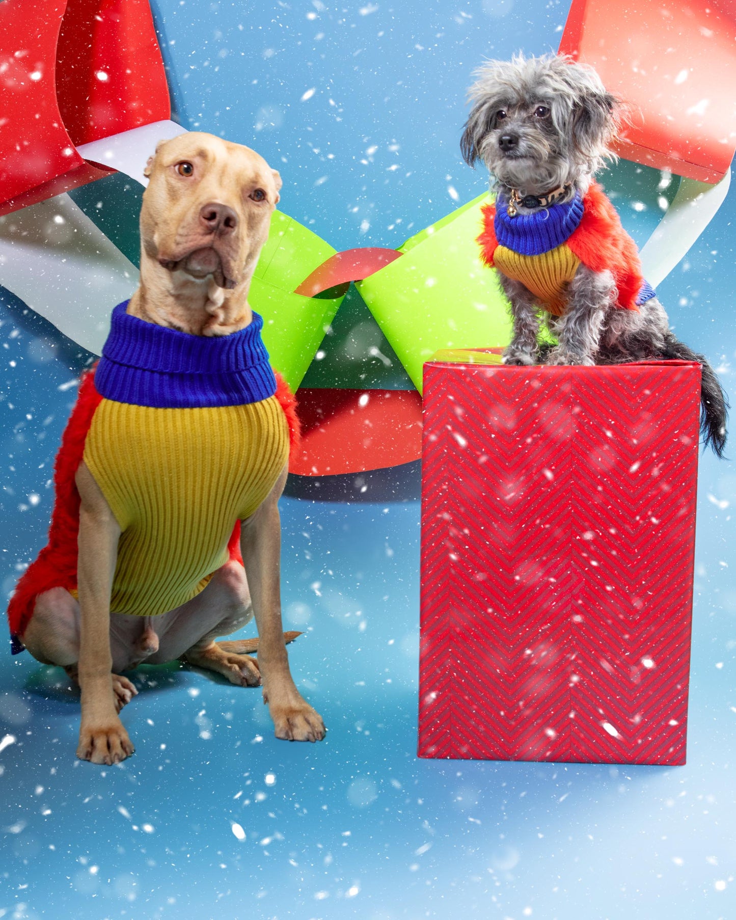 Faux Fur Dog Sweater in Poppy (FINAL SALE)