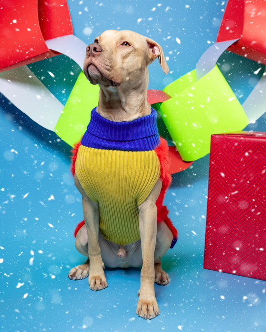 Faux Fur Dog Sweater in Poppy (FINAL SALE)