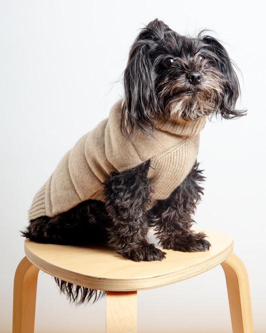The Cashmere Puffer Dog Sweater in Tan