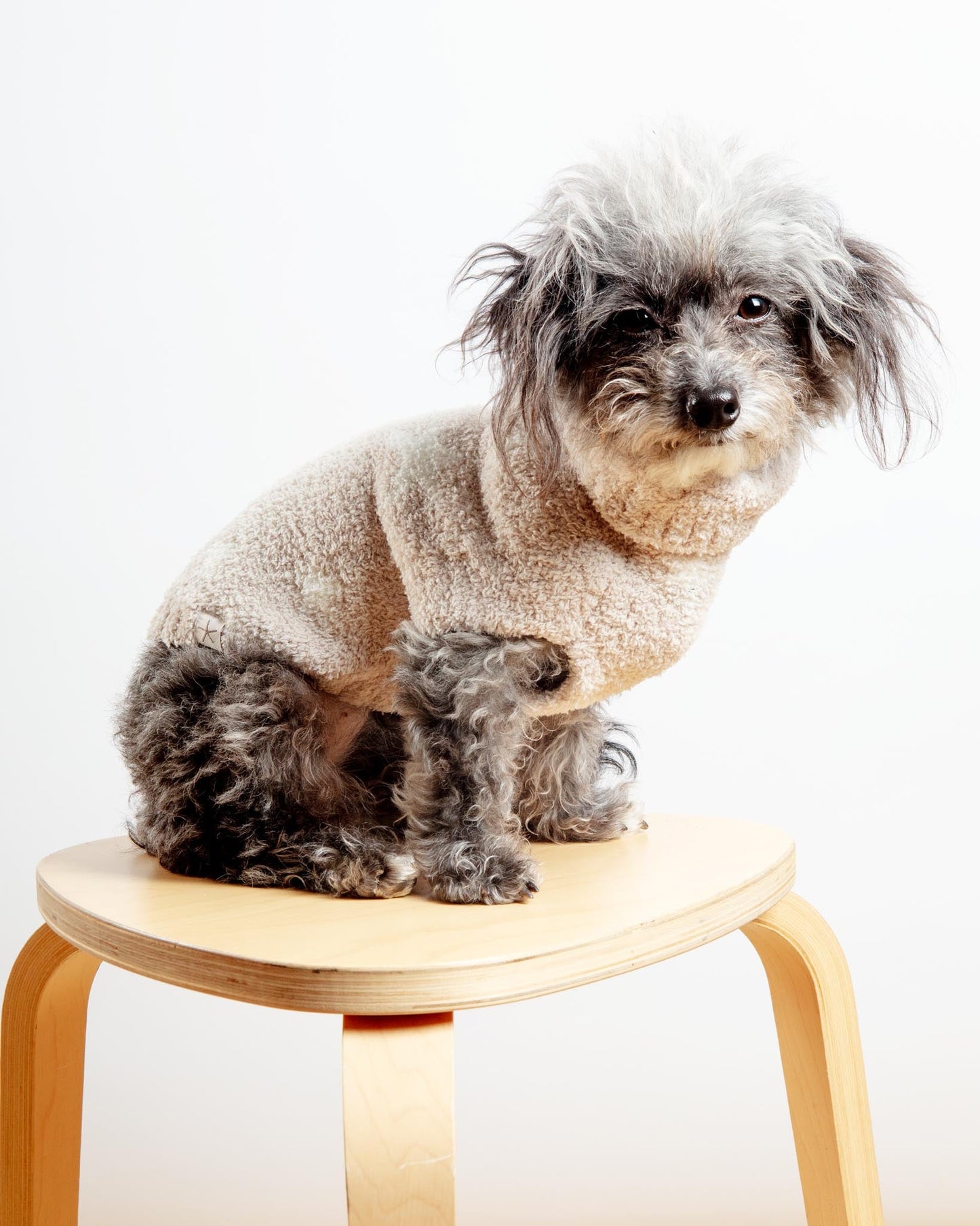 CozyChic Starry Night Pet Sweater in Stone Pearl