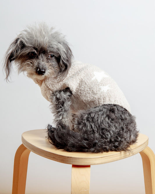 CozyChic Starry Night Pet Sweater in Stone Pearl