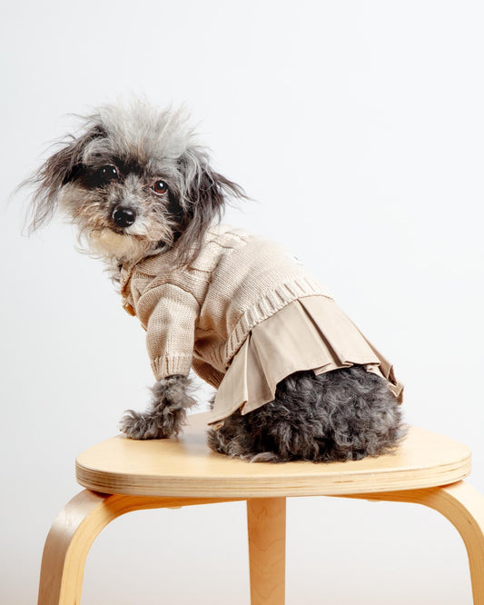 Naturalia Knit + Trench Dog Dress