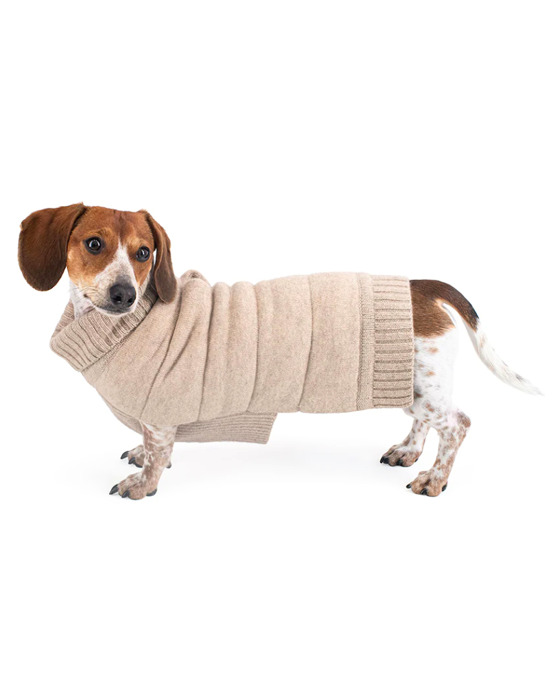 The Cashmere Puffer Dog Sweater in Tan