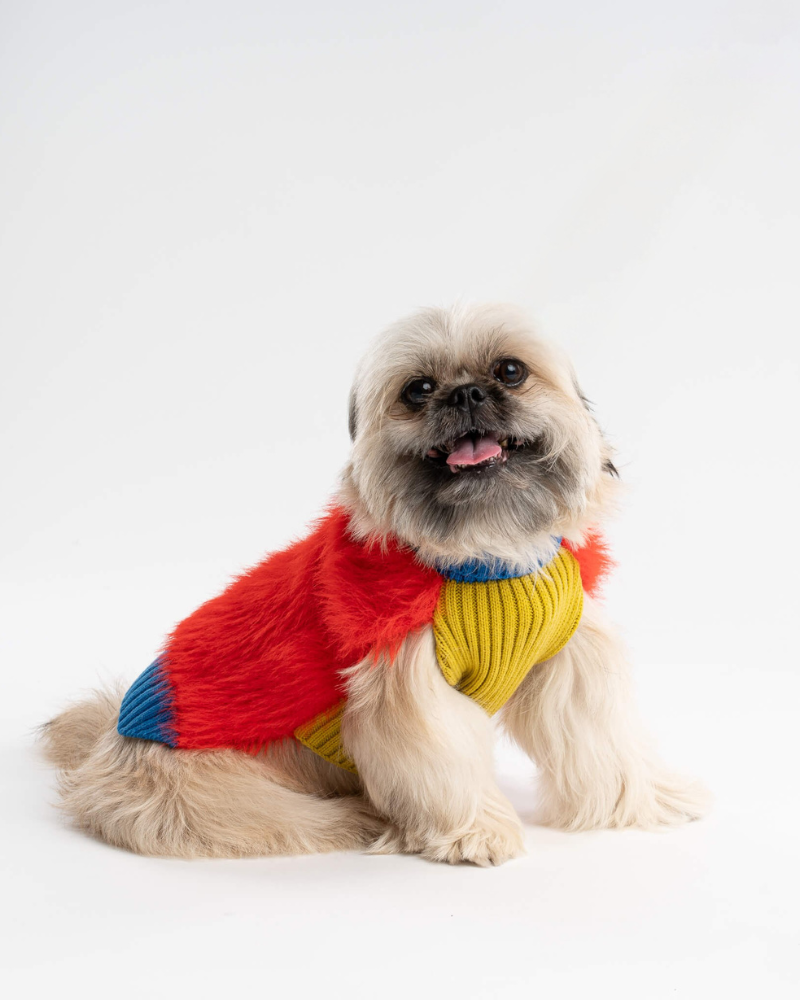 Faux Fur Dog Sweater in Poppy (FINAL SALE)