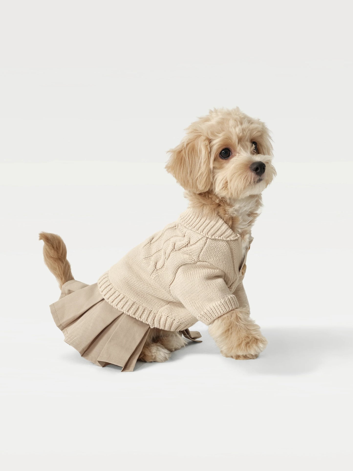 Naturalia Knit + Trench Dog Dress