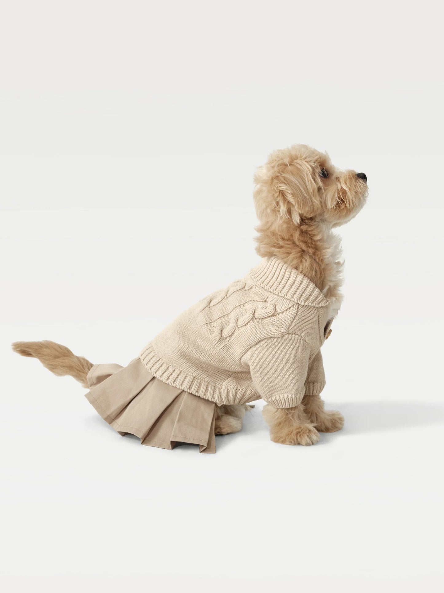 Naturalia Knit + Trench Dog Dress