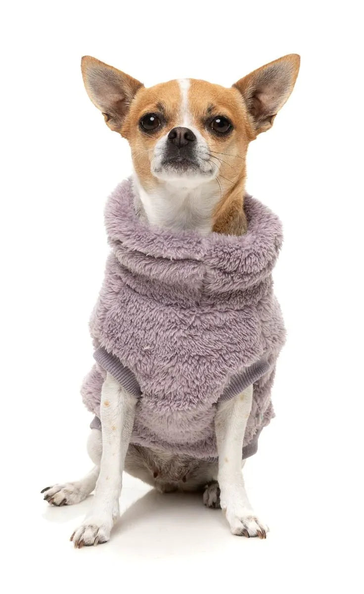 Turtle Teddy Dog Fleece in Lavender