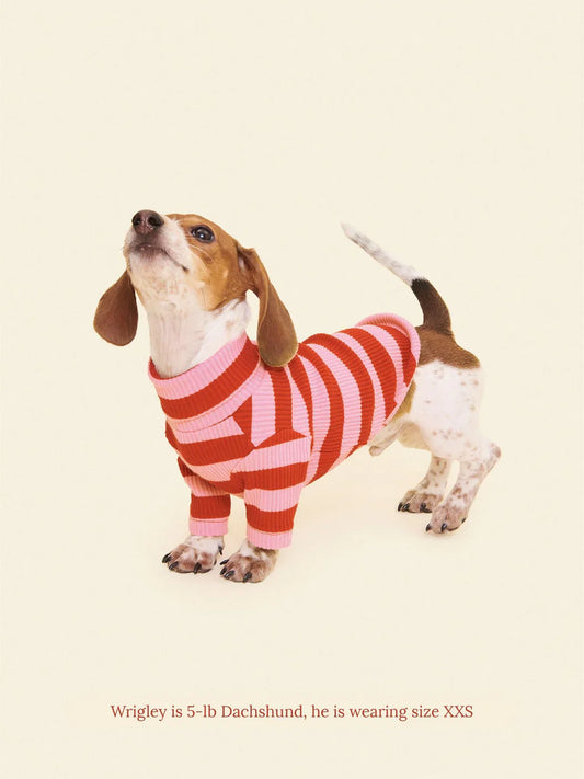 Kiss Me Ribbed Dog Shirt