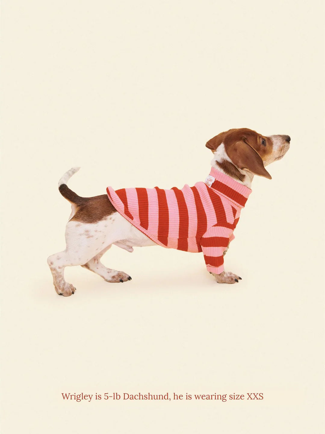 Kiss Me Ribbed Dog Shirt
